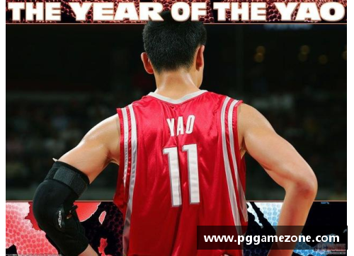 PG模拟器姚明NBA生涯统计与纪录分析 - 副本